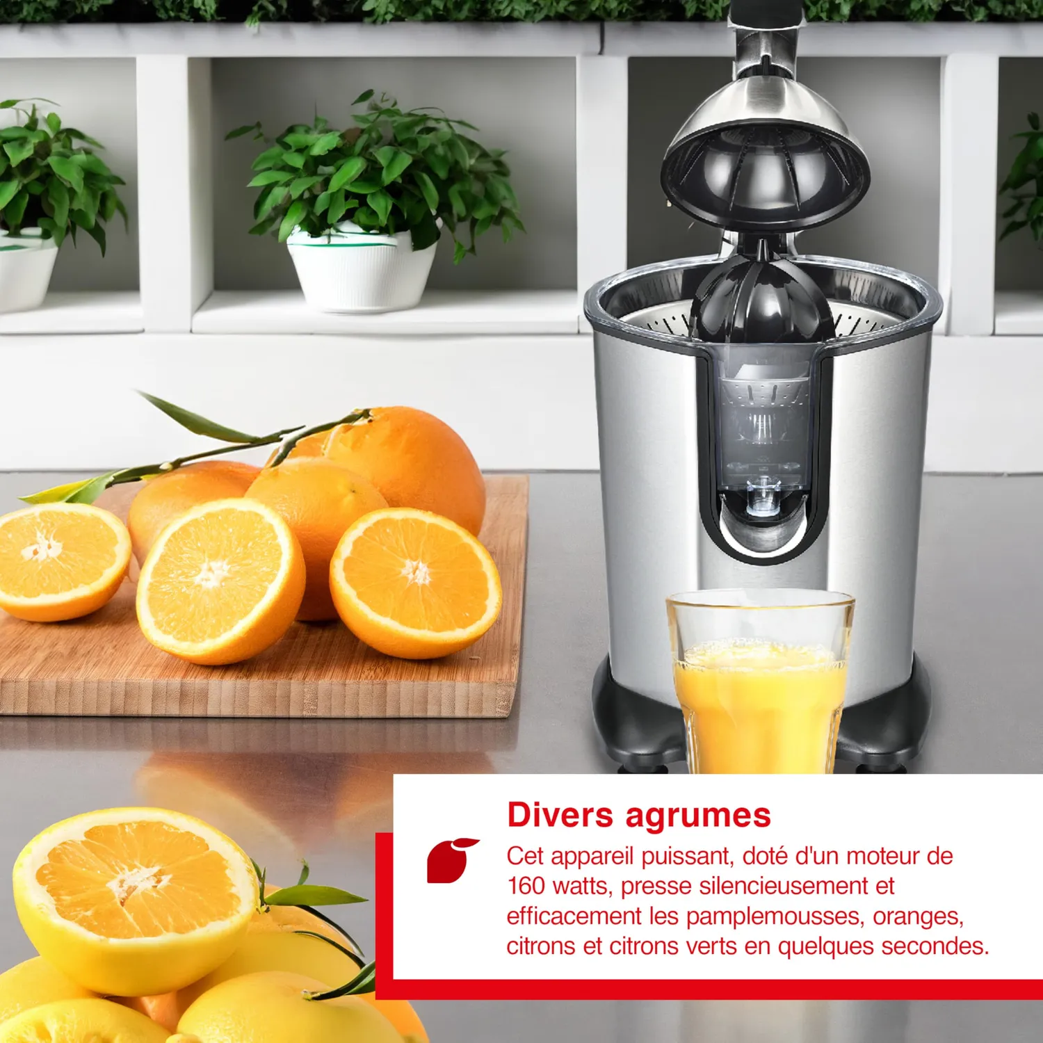 Solis Citrus Juicer 8453 presse-agrumes inox 160 W