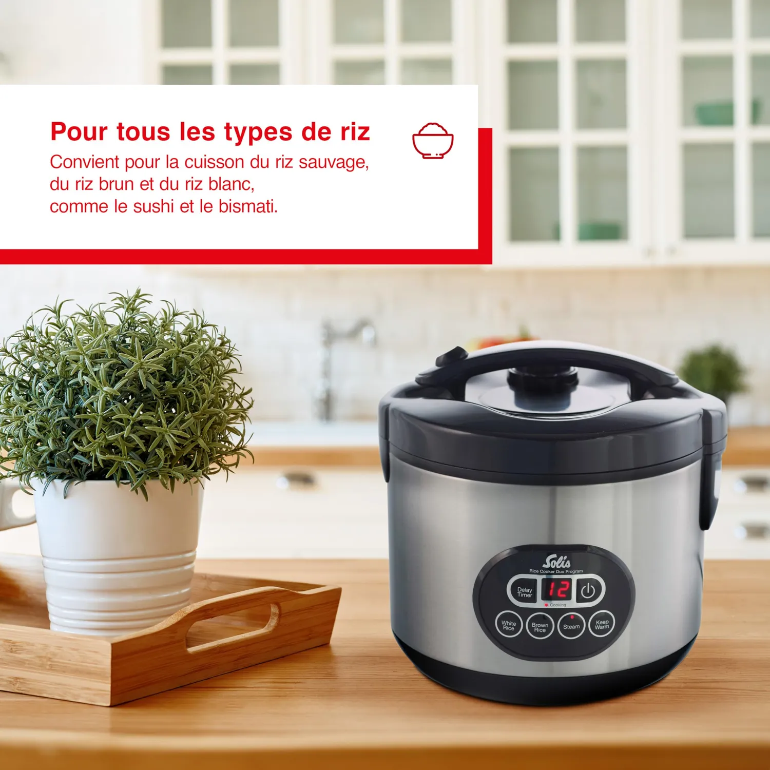 Solis Rice Cooker Duo 817 cuiseur riz 1,2 L 6 tasses