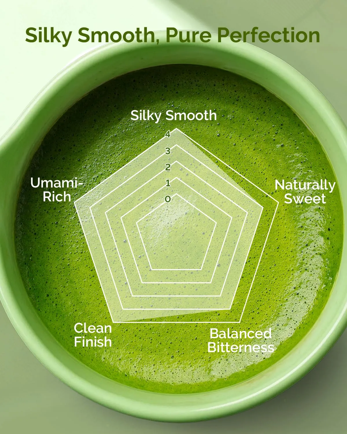 Maestri House House matcha cérémonie bio 30 g première récolte