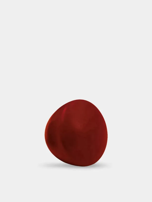Comandante Standard Knob bouton hêtre rouge vin 44 mm