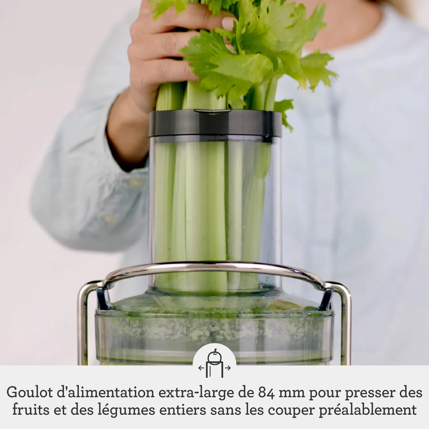 Sage Nutri Juicer Cold SJE430 extracteur de jus argent