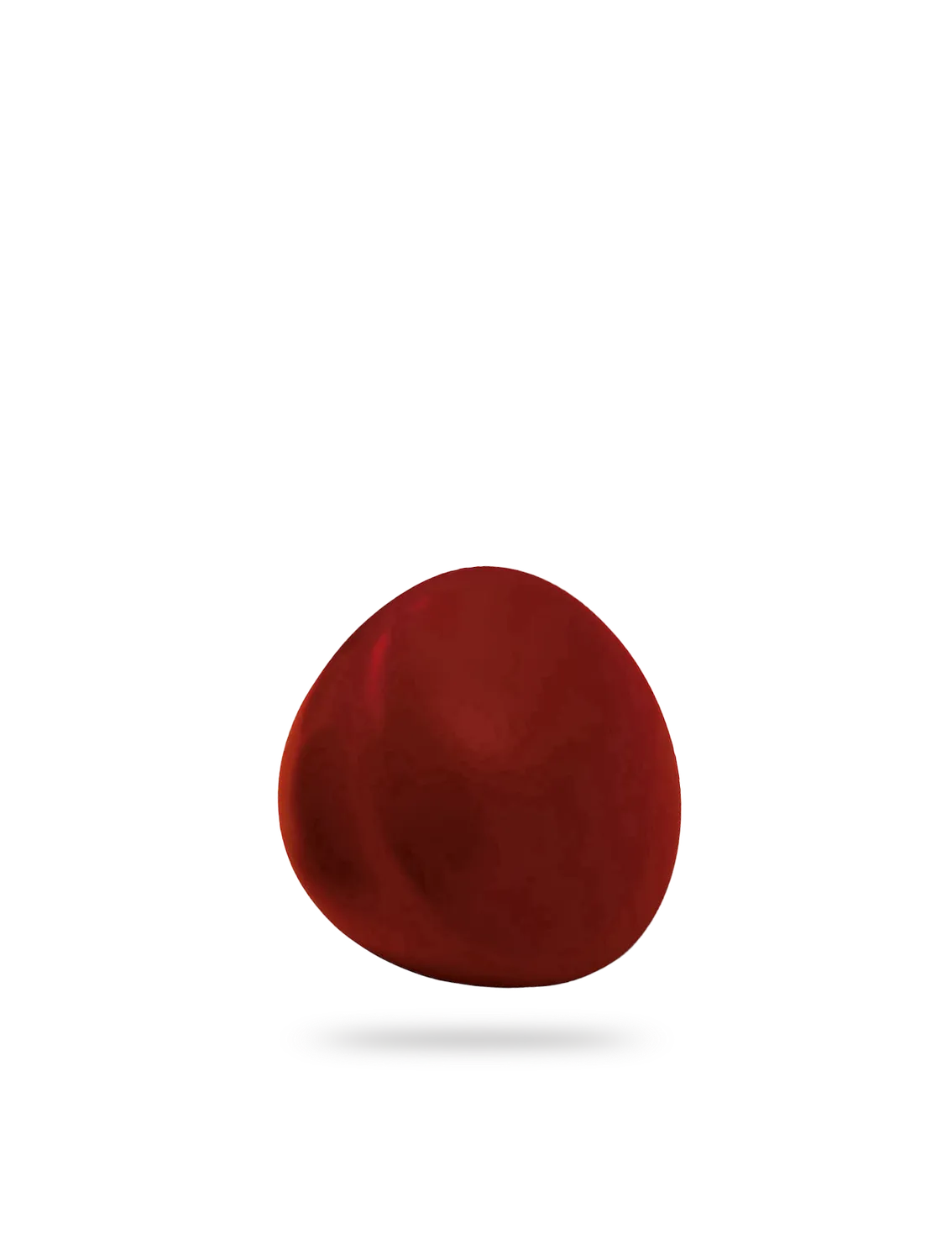 Comandante Standard Knob bouton hêtre rouge vin 44 mm