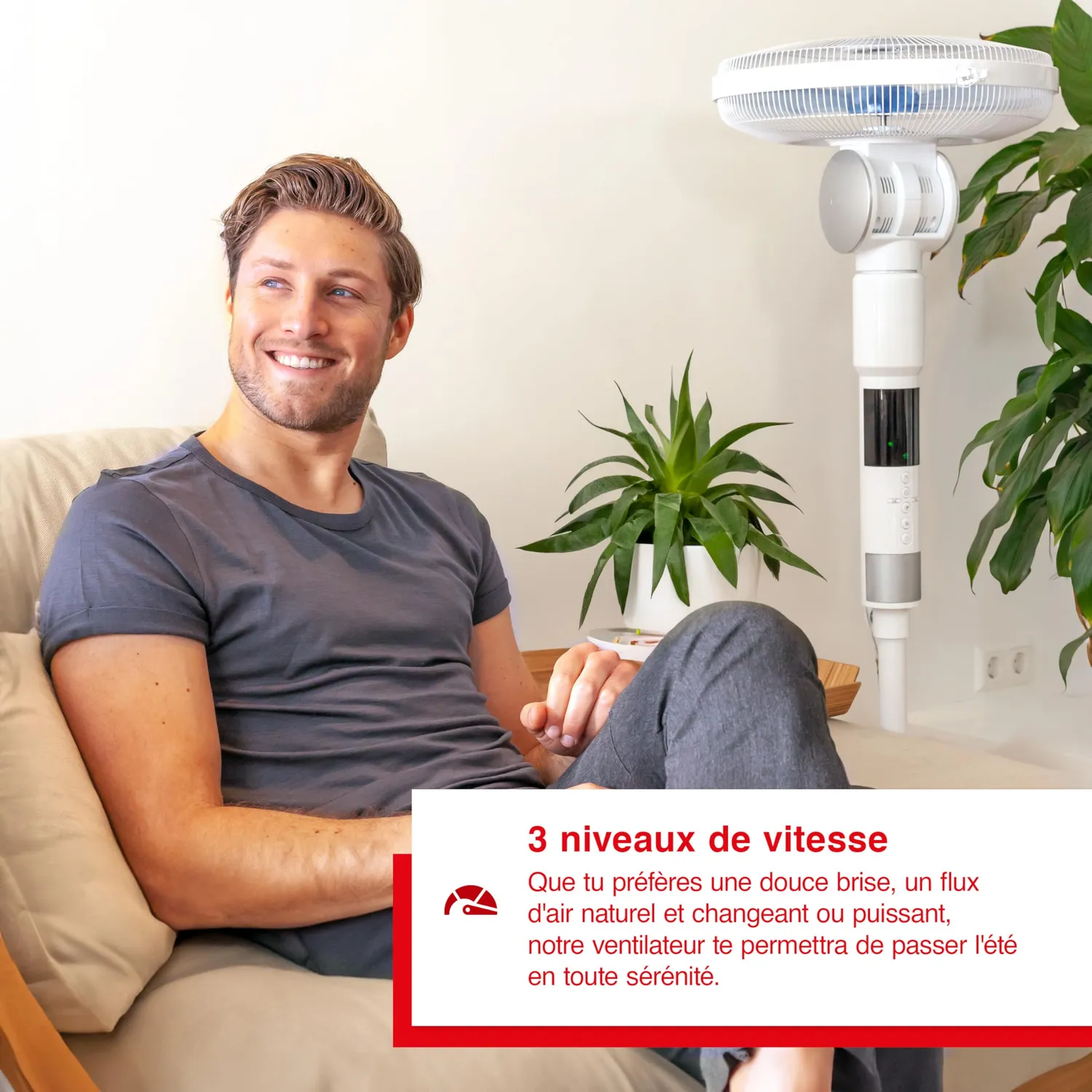 Solis Breeze 7582 ventilateur sur pied 65 W