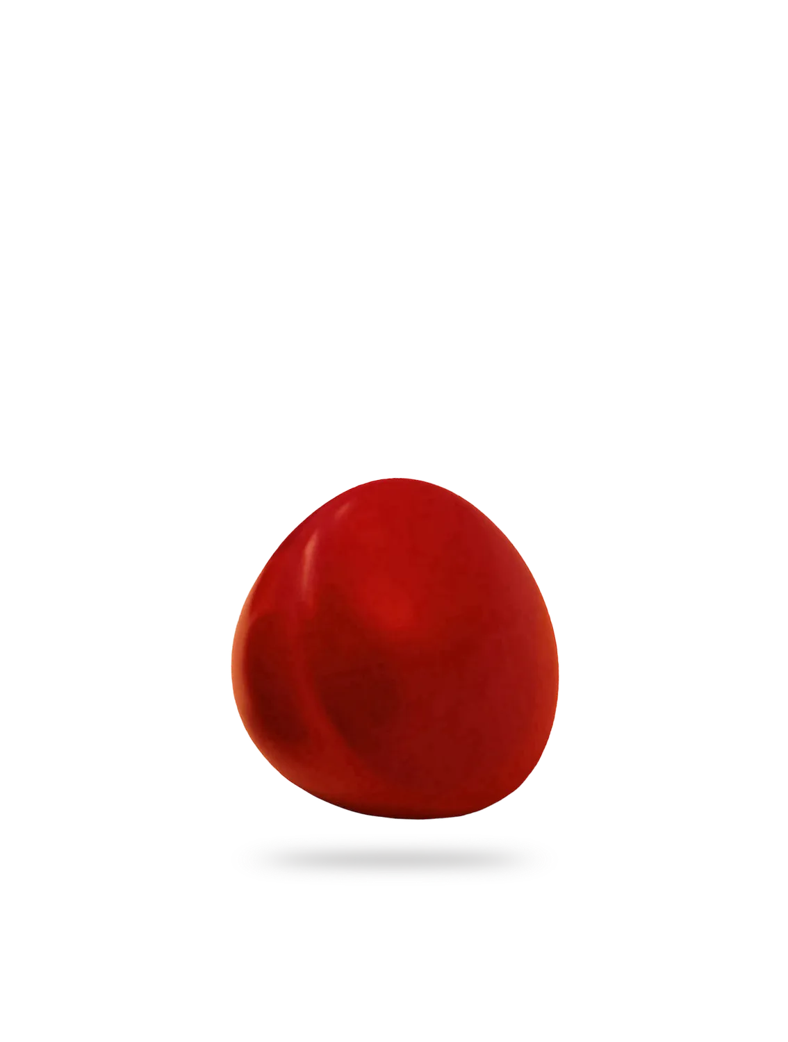 Comandante Standard Knob bouton hêtre rouge 44 mm