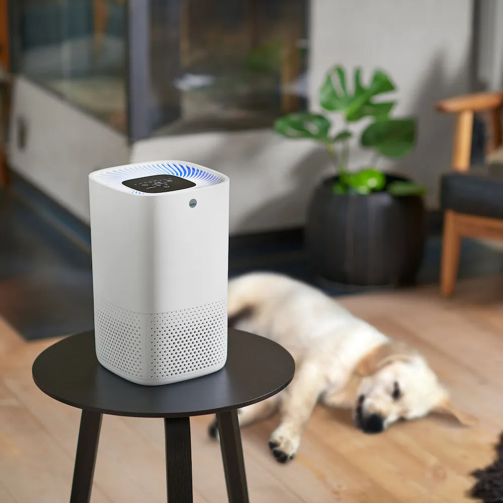 Wilfa Fresh purificateur d'air 18 m² silencieux