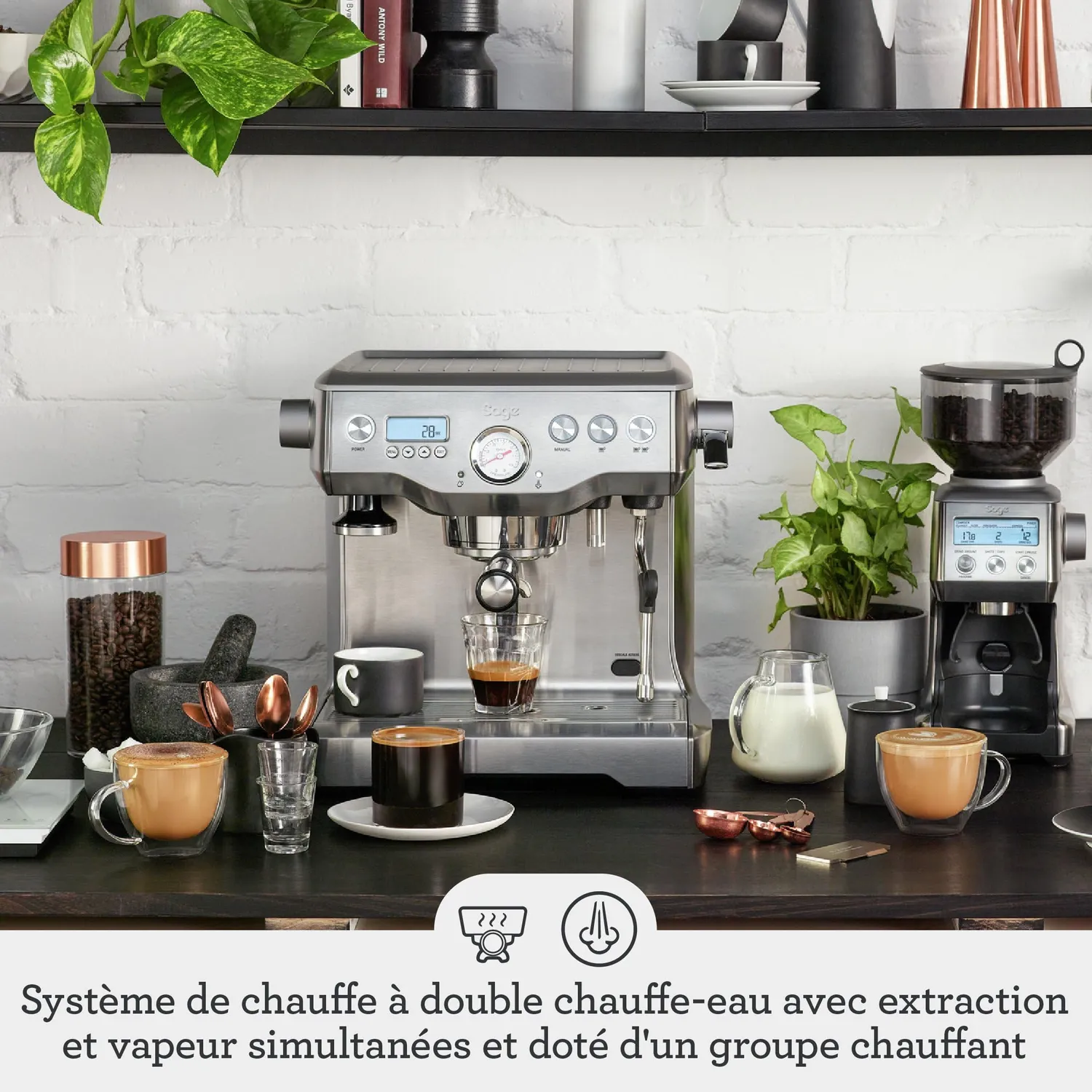Sage The Dual Boiler machine expresso inox brossé double chaudière