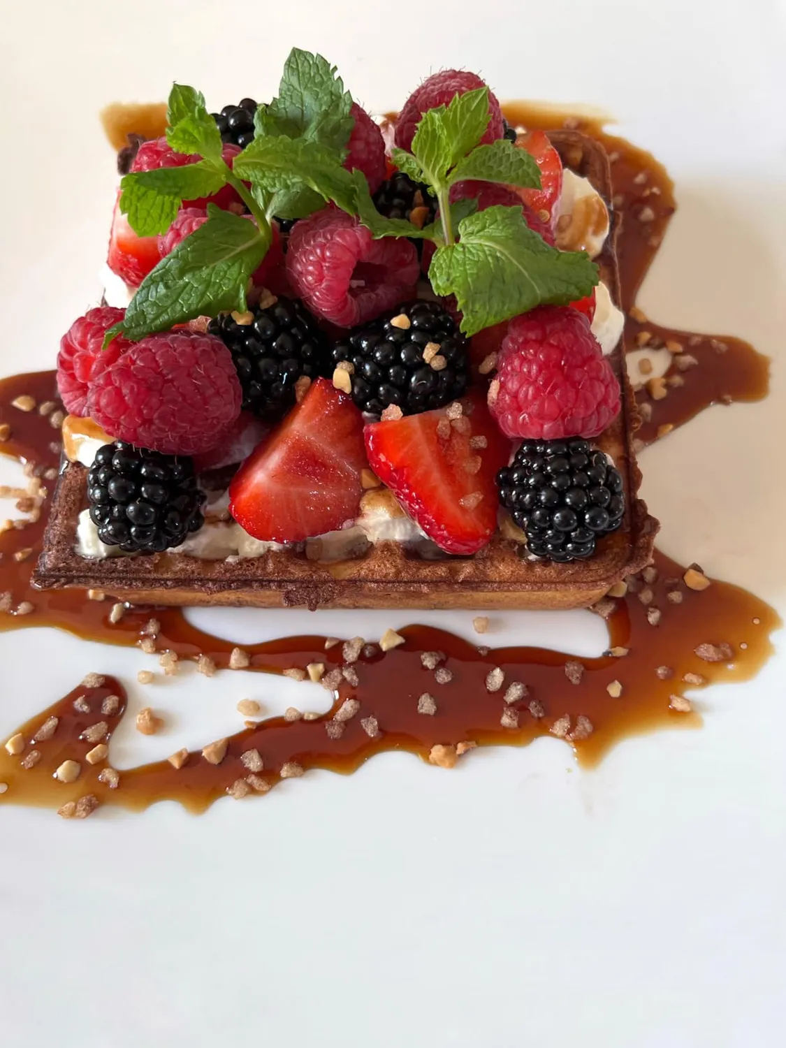 Sage Smart Waffle Pro gaufrier belge 12 réglages