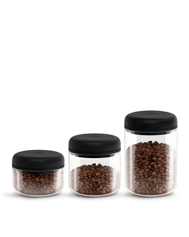 Stagg Atmos boîtes café sous vide lot 3 hermétiques