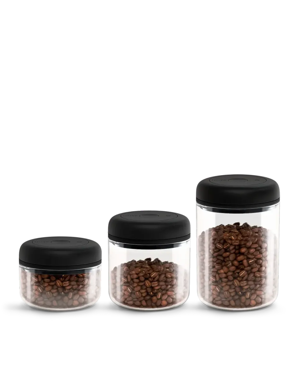 Stagg Atmos boîtes café sous vide lot 3 hermétiques