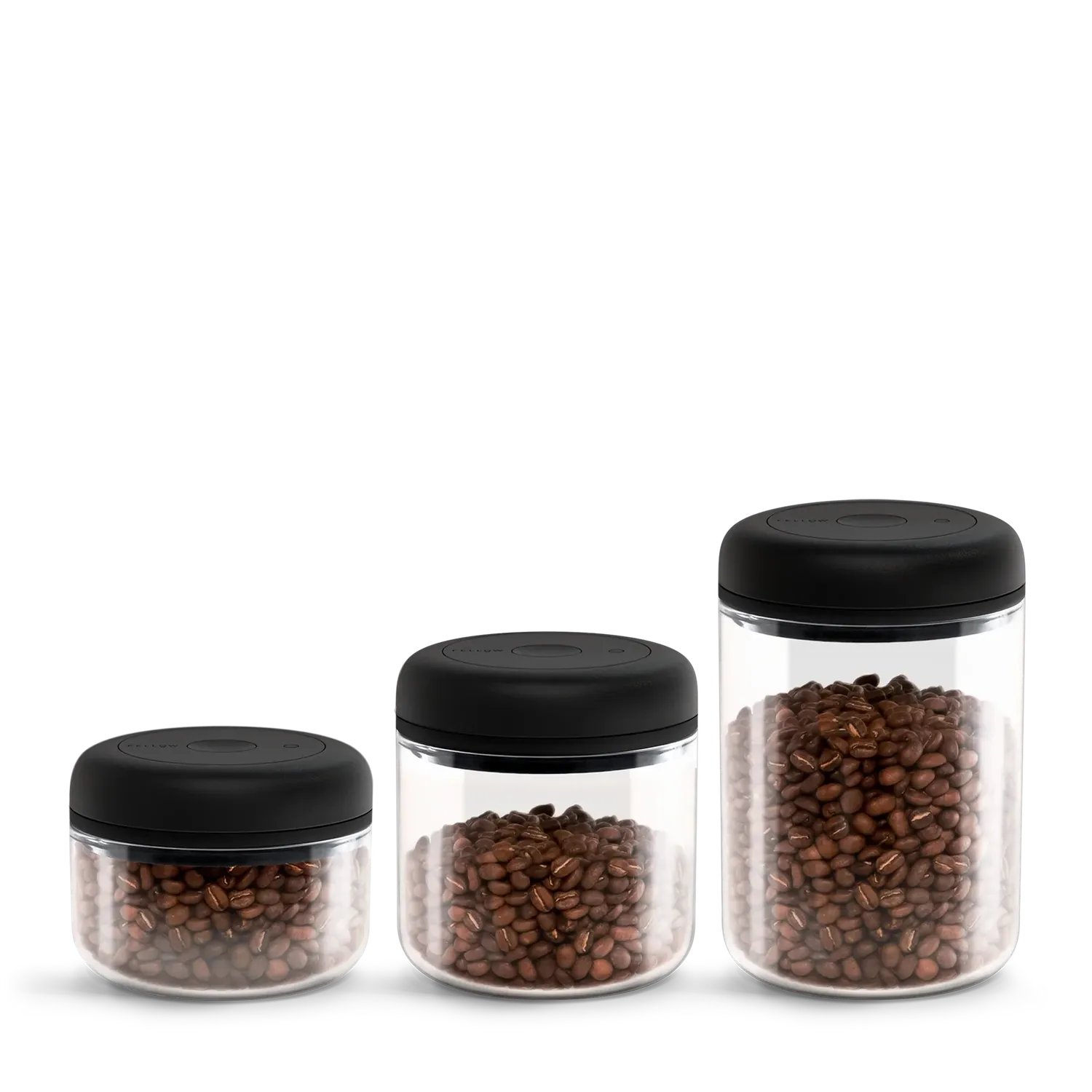 Stagg Atmos boîtes café sous vide lot 3 hermétiques