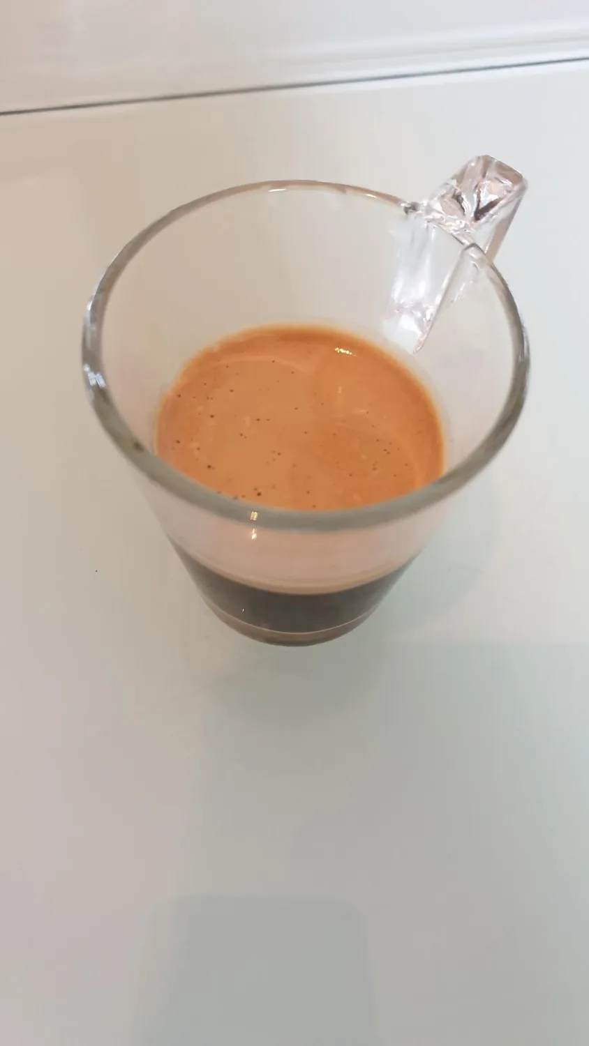 Sage Barista Pro SES878 machine expresso truffe noire moulin