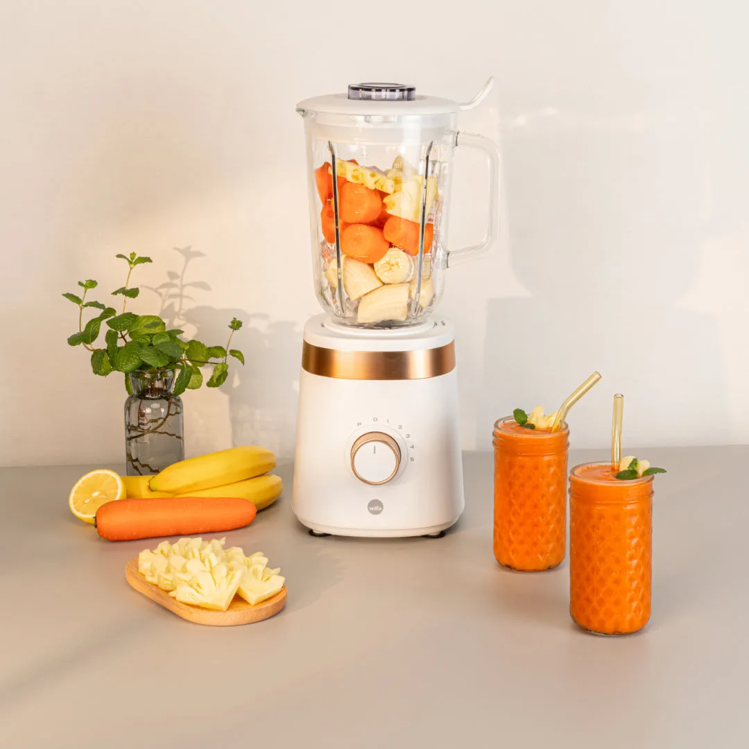 Wilfa Smooth 1000 blender 1,5 L fruits congelés