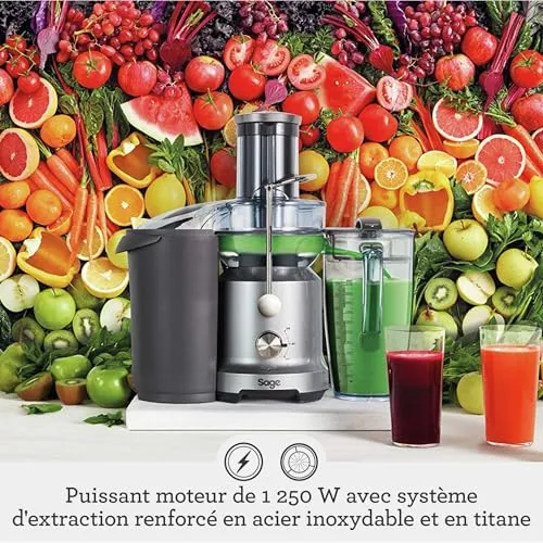 Sage Nutri Juicer Cold SJE430 extracteur de jus argent