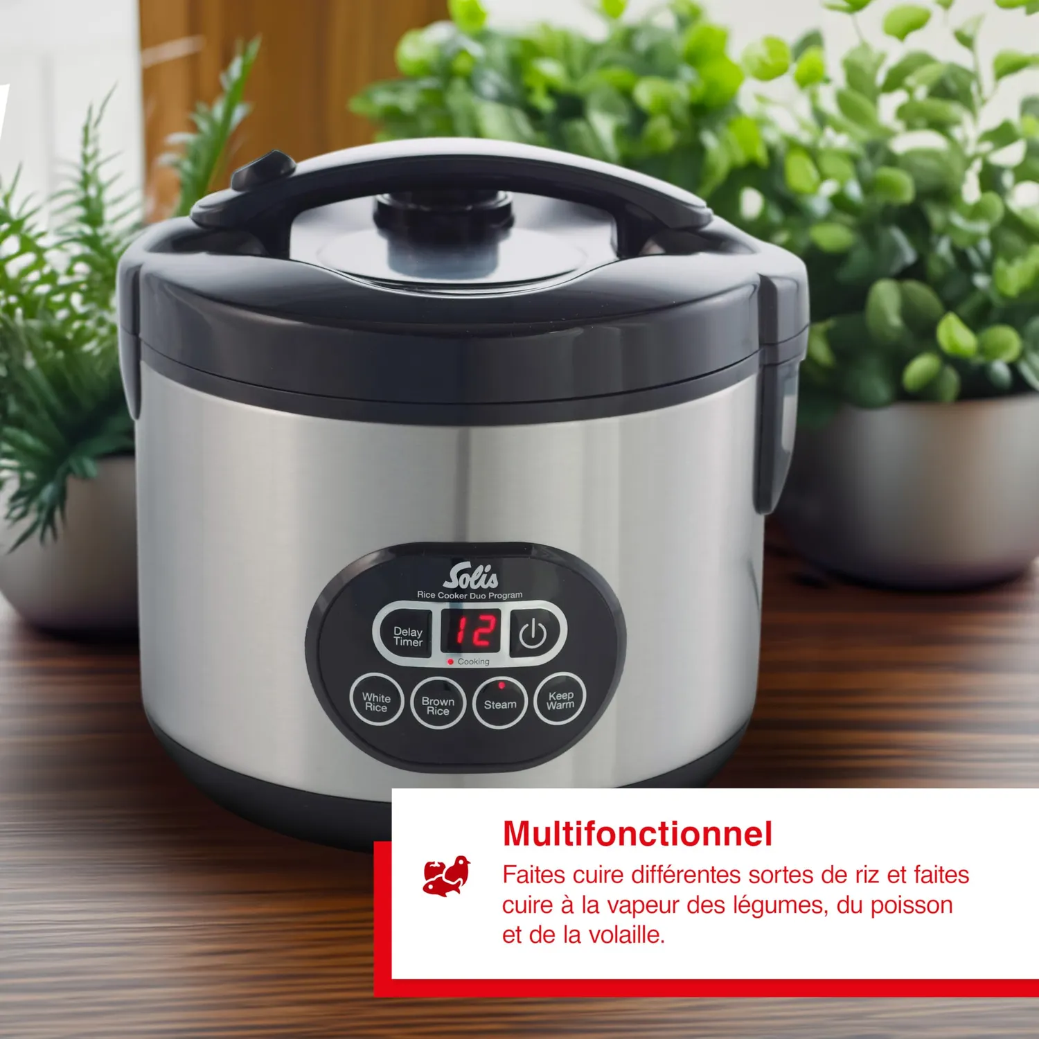 Solis Rice Cooker Duo 817 cuiseur riz 1,2 L 6 tasses