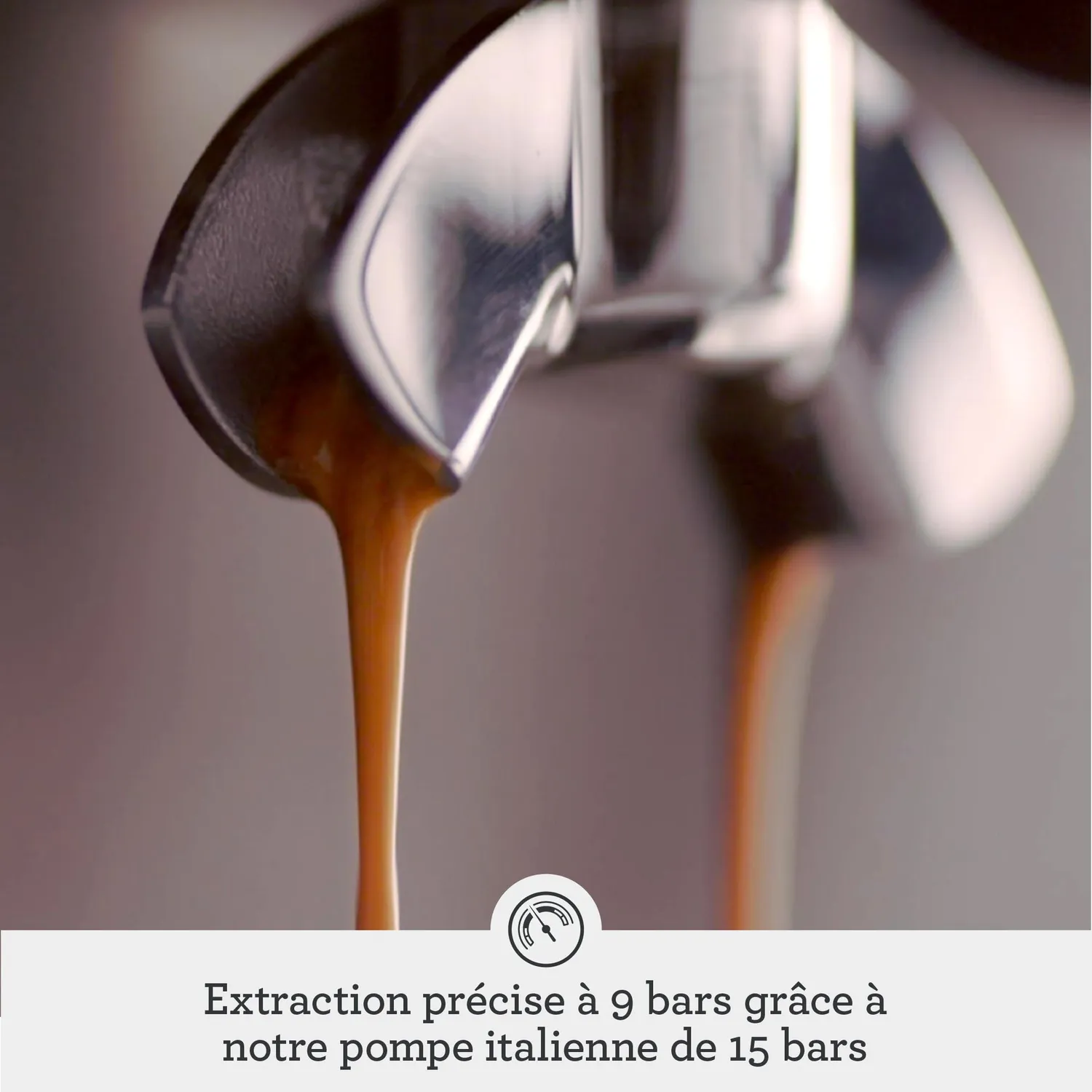 Sage The Dual Boiler machine expresso inox brossé double chaudière